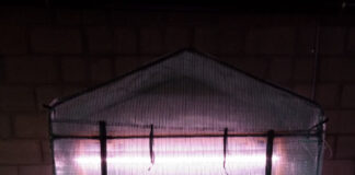 Spring marks the start of seed season Germinator 3000