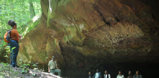 WNF employees receive awards from Forest Service Andy Tremayne