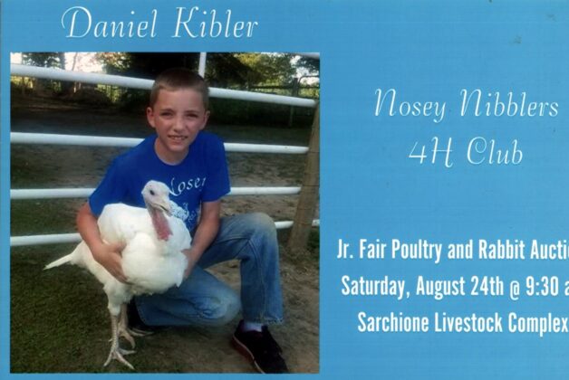 Nosey Nibblers Fair banner