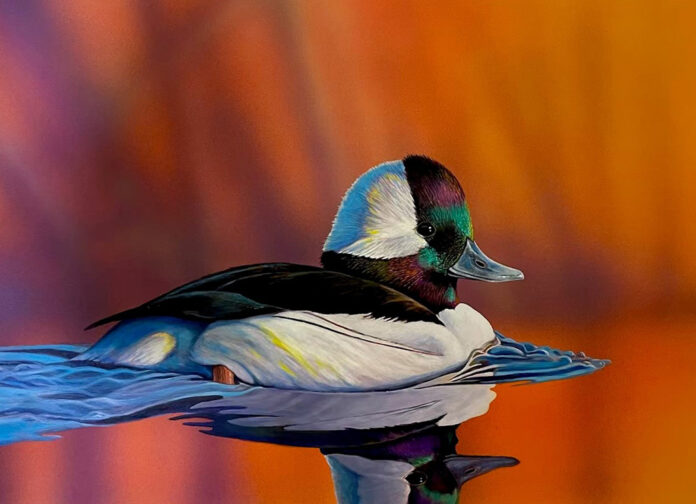 duck stamp