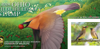 2024 Ohio Wildlife Legacy Stamp