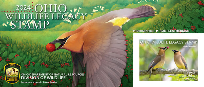 2024 Ohio Wildlife Legacy Stamp