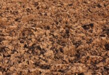 Strategies to renovate sacrifice grazing lots during muddy months abstract, agriculture, full hd wallpaper