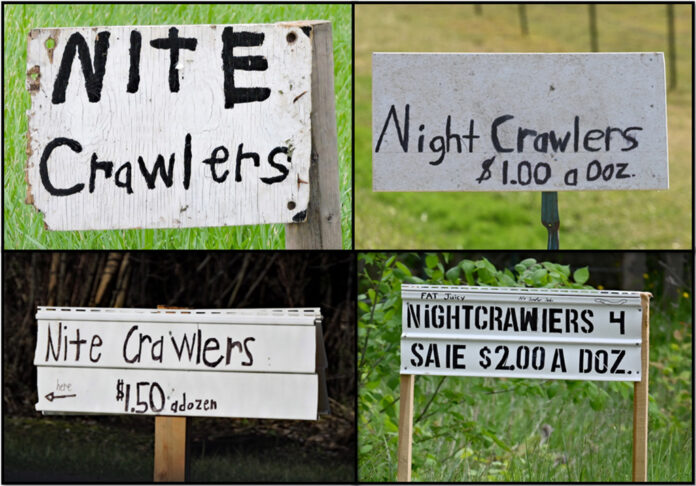 nightcrawler signs nightcrawler signs