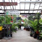 Louisville greenhouse celebrates historic business milestone