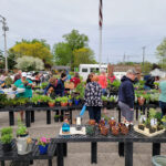 Perennial Gardeners set date for annual sale plant sale