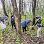 Stark Parks seeks volunteers to clean up garlic mustard May 4 garlic mustard cleanup