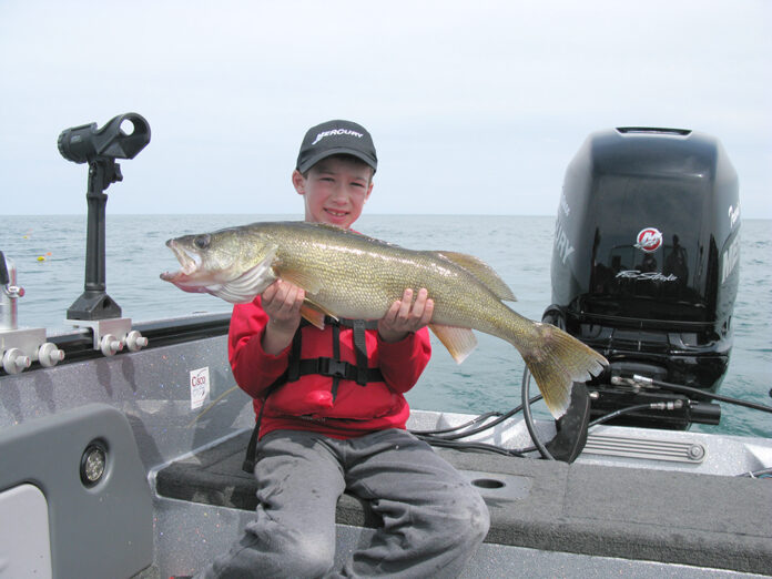 Lake Erie Walleye