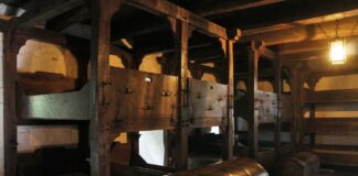 Sleeping soundly in cabin #4 bunks