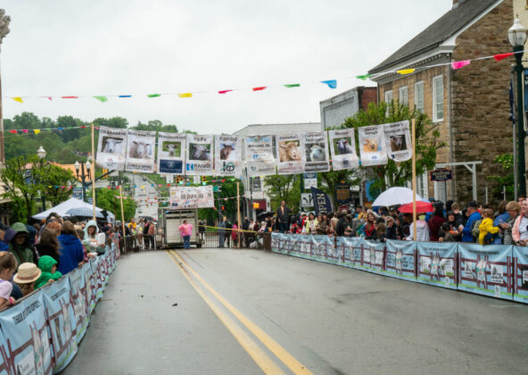 Running of the Wools