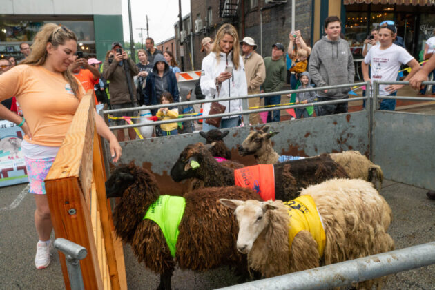 Running of the Wools