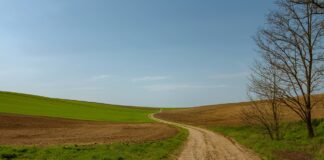 Building a dirt road on a budget dirt road