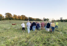 Sycamore Valley Farm to host workshop on grazing grazing crowd