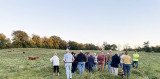 Sycamore Valley Farm to host workshop on grazing grazing crowd
