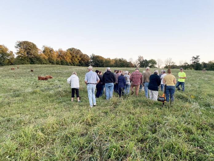 grazing crowd grazing crowd