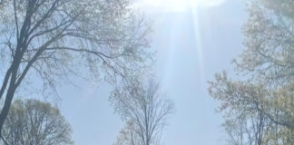 Making headway on a work in progress takes time, ingenuity pond