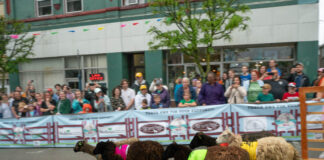 Running of the Wools