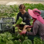 Geauga County woman travels to Taiwan, Zambia with IFYE