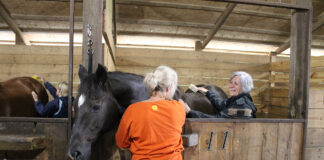 happy trails curry crew