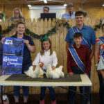 GRAND CHAMPION CHICKENS