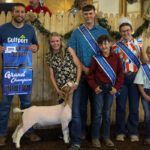 GRAND CHAMPION GOAT