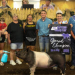 GRAND CHAMPION HOG