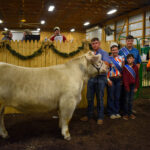 RESERVE CHAMPION BEEF
