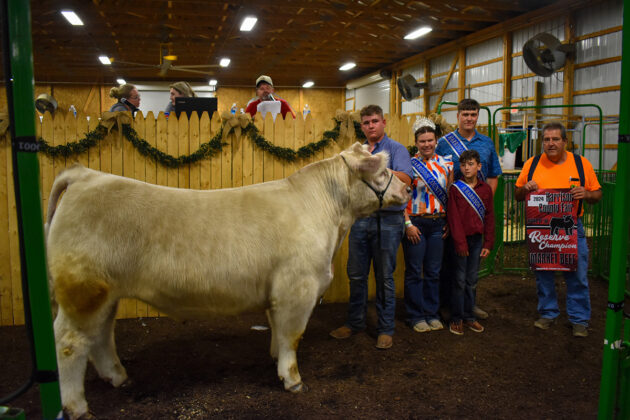 RESERVE CHAMPION BEEF