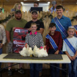 RESERVE CHAMPION CHICKENS