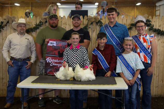 RESERVE CHAMPION CHICKENS