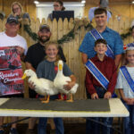 RESERVE CHAMPION DUCKS