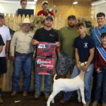 RESERVE CHAMPION GOAT