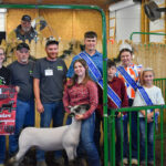 RESERVE CHAMPION LAMB