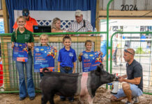 2024 Trumbull County Fair Livestock sale results