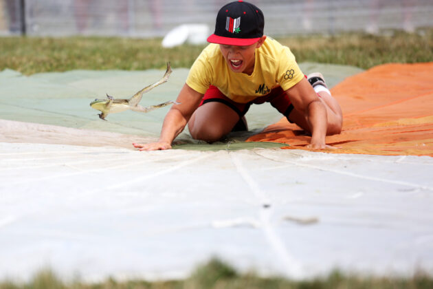 Valley City Frog Jump Festival