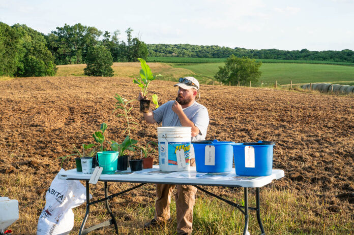 giannone wildflower Jimmy Giannone