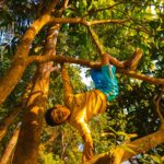 Summer’s freedom and work: part one a man climbing up a tree in a forest