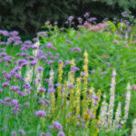 Pollinator gardens support delicate, beautiful ecosystems pollinator garden