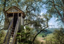 Grandma’s tree hut treehouse