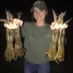 What makes a frog a true frog?