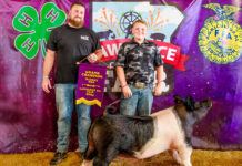 2024 Lawrence County (PA) 4-H & FFA Junior Livestock Sale