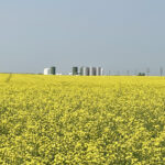 Get out of your fence row Canada