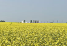 Get out of your fence row Canada