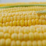 Corn, soybean and wheat prices continue to spiral corn