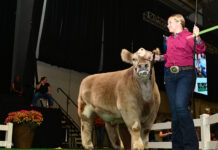 2024 Ohio State Fair Sale of Champions grand champion beef ohio state fair