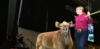 2024 Ohio State Fair Sale of Champions grand champion beef ohio state fair