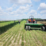 Large-scale Ohio research project to explore how solar and farming can co-exist madison fields solar