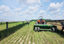 Large-scale Ohio research project to explore how solar and farming can co-exist madison fields solar