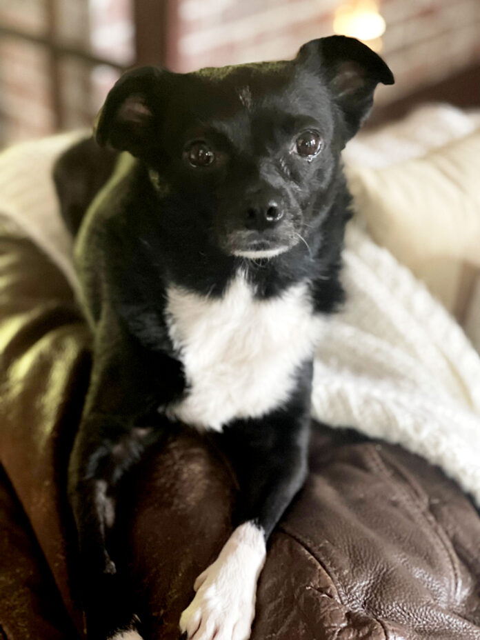 nova grace nova grace