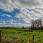 Is your pasture ready for a drought? pasture